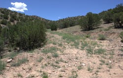 Tres Amigos Road, Placitas, NM 87043