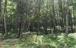 STAR LAKE RD lot: On, Eagle River, WI 54519