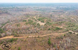 0 Steele Rd, Jasper, AL 35503