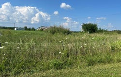 Tract# 23 Statham Rd, Liberty, KY 42539