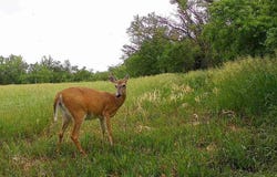 2693 SW 70th, El Dorado, KS 67042-0000