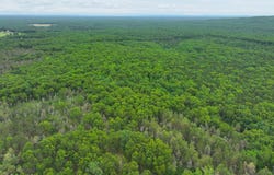 7376 W 7 Mile Road, Irons, MI 49644