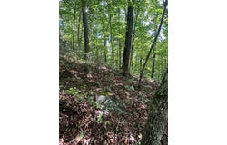 E Obey Lane lot: 371, Wilder, TN 38589