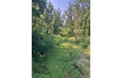 132 Madison CR 410, Fredericktown, MO 63645