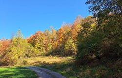 0 Laurel Heights Drive, Sutton, WV 26601