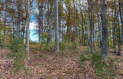 LOT 9 RAINBOW RIDGE, BUMPASS, VA 23024