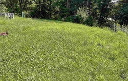 2229 235 Street, Donnellson, IA 52632