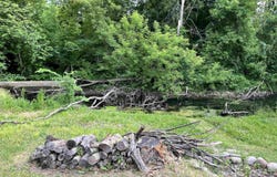 318 North Street, Standish, MI 48658
