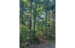 Lot 35 Middle Creek Road, Blairsville, GA 30512
