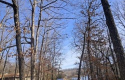 41 Winnebago, Cherokee Village, AR 72529