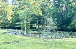 3900 Sammie Hearndon Road, Moss Point, MS 39562