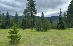 NHN Sapphire Lane lot: 10, Trout Creek, MT 59874