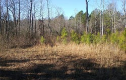 Hemp Street, Robbins, NC 27325