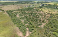Tbd FM 2131, Coleman, TX 76834