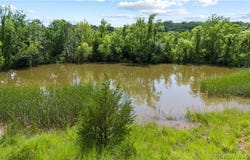 Tract 6 Whitetail Lane, Barnett, MO 65011