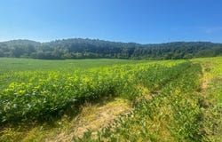 0 Glades Rd, Minford, OH 45653
