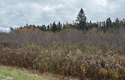 M1 L25 E+I Boot Cove Road, Lubec, ME 04652