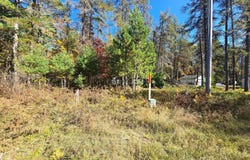 4042 HIBANKS RD, Conover, WI 54519