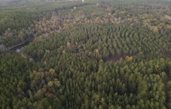 County Rd 77, Mize, MS 39116