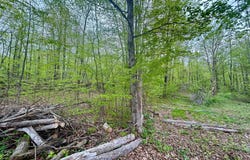 0 Maile Road, Greenfield Twp, PA 18407