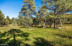 2861 LODGEPOLE Road, Overgaard, AZ 85933