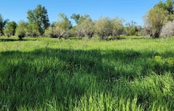 5211 Old Yellowstone Trail, Three Forks, MT 59752