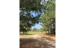 186 Hook Em Horns DR, Paige, TX 78659