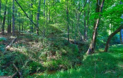 0 New Hope Church Rd, Loganville, GA 30052