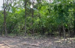 Lot 72 Spout Springs Road, Pottsboro, TX 75076