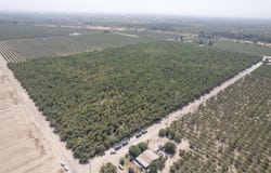 24290 Avenue 5, Madera, CA 93637
