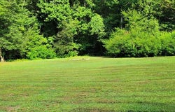 565 Cross Creek Ln, MURPHY, NC 28906