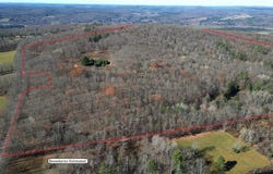 233 Chicken Farm Road, Butternuts, NY 13776