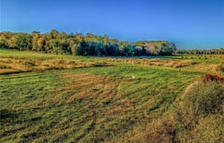 2985 Nelson Road, Independence, MN 55328