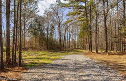 0186 Potluck Road, Canton, MS 39046