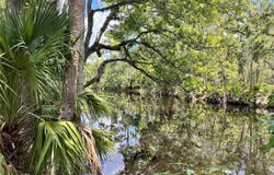 1518 PALM STREET NE, STEINHATCHEE, FL 32359