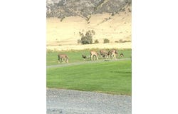 Point Of Rocks Rd, Whitehall, MT 59751