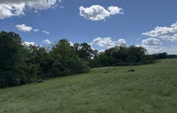 Tract 10 Hwy 105 South, Atkins, AR 72823
