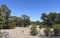 Lot 66 Wagon Trail Road, Datil, NM 87821