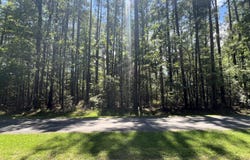 9918 Canady Landing Road, Aurora, NC 27806