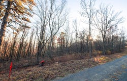 Lot 181 ROCKWOOD TRL, WINCHESTER, VA 22602