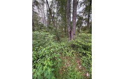6033 E DELL Lane, INVERNESS, FL 34452