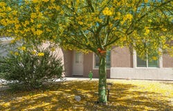 6717 W Nielsen Way, Golden Valley, AZ 86413