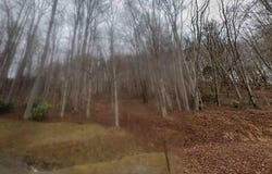 Tbd N. Angle Ave, Lebanon, VA 24266