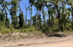 41&42 237TH ROAD, Live Oak, FL 32060