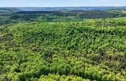 L1.6 Crystal Brook Path, Jefferson, NY 12093