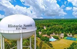 245 Staffin drive, Senoia, GA 30276