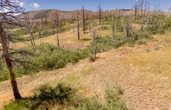 Cary Ln lot: 1644, Fort Garland, CO 81133