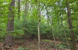 0 PLEASANT VIEW ROAD, HALIFAX, PA 17032