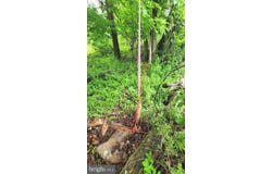 GOKEY ROAD, GREAT CACAPON, WV 25422
