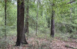 212TH TERR, OBrien, FL 32071